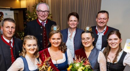 Rege Betriebsamkeit im Mostgeschäft