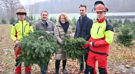 Emmausgemeinschaft bekommt Reisig aus Pyhra