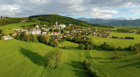 Heuwirtschaft beschützt Wiesen