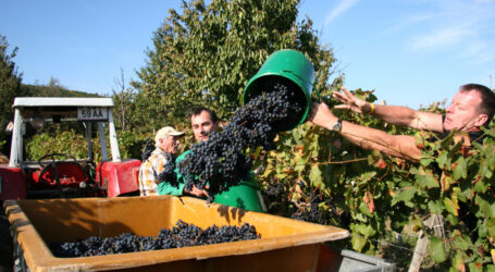 4. AgrarWinterTage (AWT) – Gemeinsam für die Branche!