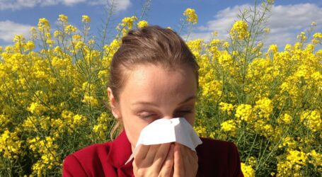 Unterschätztes Problem: Allergien