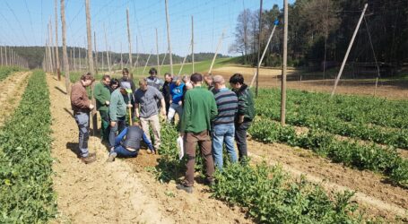 Ein Million vom Bürgermeister