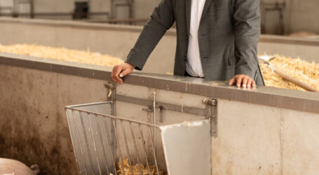 Von Planungssicherheit keine Rede mehr