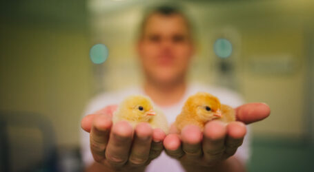 Ressource mit Aha-Effekt