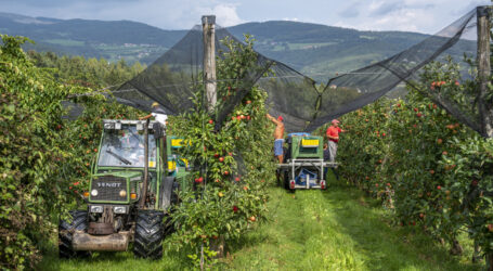 Jahresbericht der BWB ist verfügbar