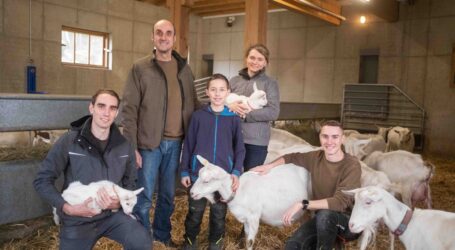 Steirischer Bauernhof des Jahres 2024