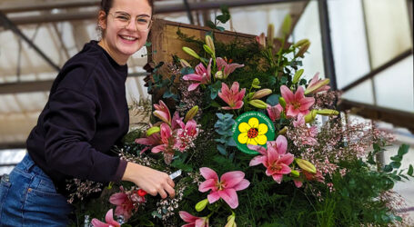 Zu Valentin florale Chemie vermeiden