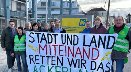 Land NÖ startet Enteignung