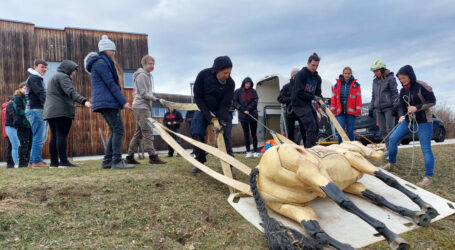 Pferderettung im Schulworkshop