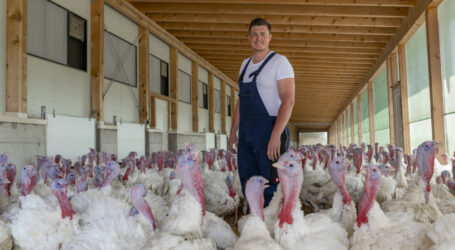 Importstopp für Putenfleisch aus problematischen Ställen