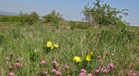 Divergierende Positionen puncto Renaturierungsgesetz
