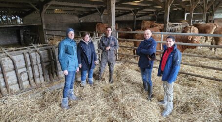 Hollabrunner sondieren in Frankreich