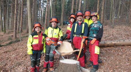 Spannende Forstwoche für LFS Hollabrunn