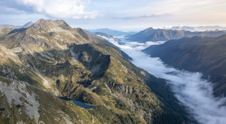 Wiederbewaldung per Drohnen