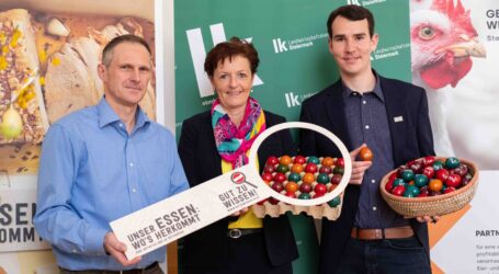 Warum manche Hühnerställe leer stehen