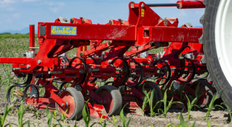 Bio Austria von GAP-Vereinfachung enttäuscht