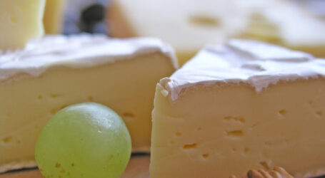 Milchexporte übertrafen 2023 die Importe