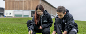 Bioausbildung: jetzt sind Länder am Zug