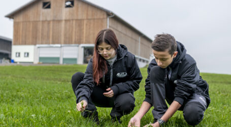 Bioausbildung: jetzt sind Länder am Zug