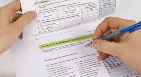 EU-weite Umfrage will es wissen