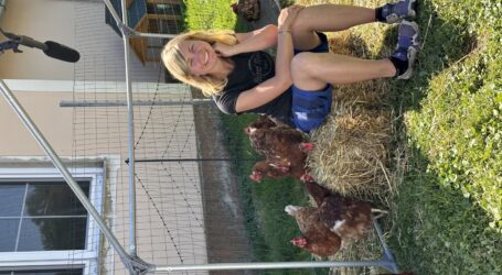 Junge Hofübernehmer im Rampenlicht