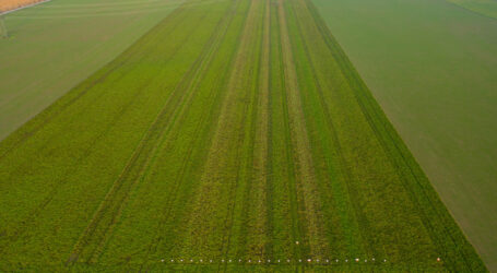 DLG-Feldtage 2024 in Erwitte