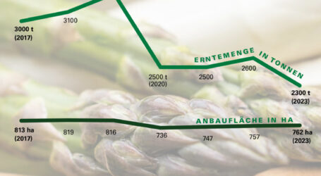 Heimische Spargelernte mit Frühstart