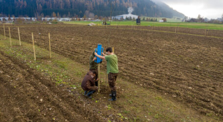 Pflanzenbaulicher Versuchsbericht abrufbar