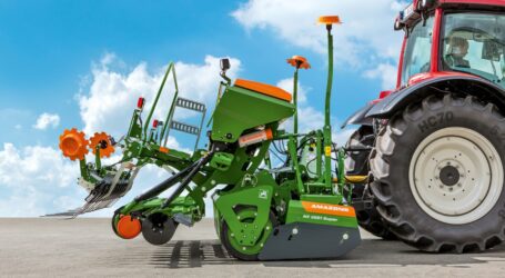 Cataya in neuer Ausstattungsvariante