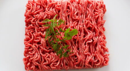 UBV: Verbot von Kunstfleisch aus Wahltaktik?