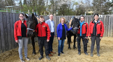 Therapiepferde an LFS Hollabrunn im Einsatz