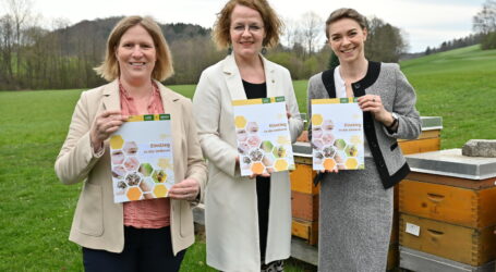 Einstiegsratgeber in Imkerei veröffentlicht