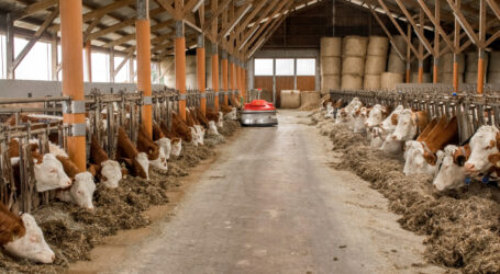 „Sie wollen das Feld nicht räumen“