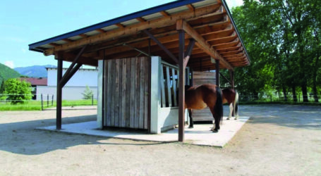 Nützliches über Pferdeställe im ÖKL-Merkblatt 29