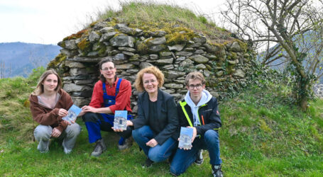 Wie steinerne Weingartenhütten sanieren?