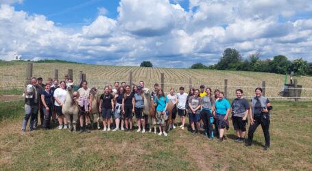 Pongauer Lamas gastierten an LFS Hollabrunn