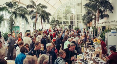 Bio-Tage unter Palmen