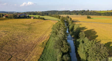 Nur in Zypern badet sich´s reiner