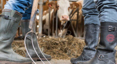 AGÖ kündigt Demo in Wien an