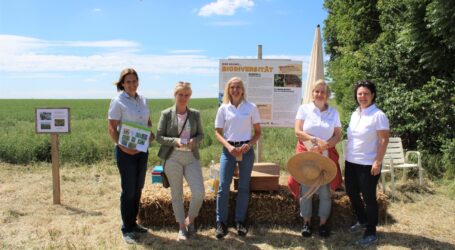 AckerkulTOUR als Lehrpfad in Moosbrunn