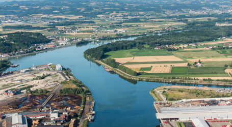 Biofilme als Reservoir für Resistenzen