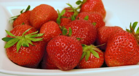 Sammelnussfruchternte bald voll im Gang