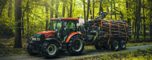 Forestmax und Forestland optimal für Agroforst