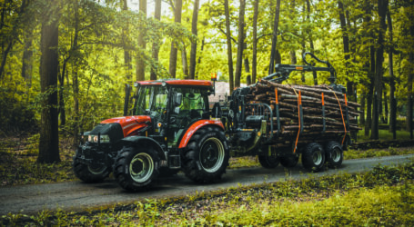 Forestmax und Forestland optimal für Agroforst