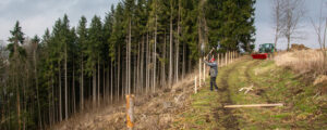 Aufgestockter Waldfonds unterstützt Forstumbau