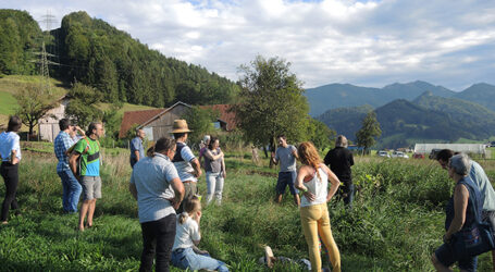 Anrechenbare ÖKL-Kurse