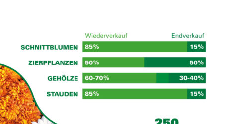 Der Gärtner Weihnacht ist heuer am 12. Mai