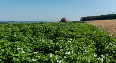 Amylofol hilft Pflanzenschutzmittel reduzieren
