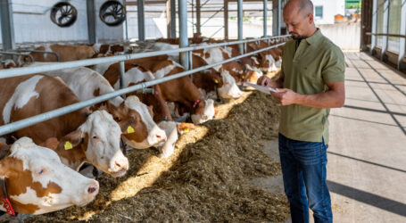 EU-Milchanlieferung 2024 eher steigend