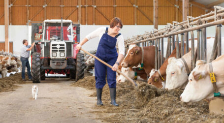 Vom Recht auf soziale Betriebshilfe
